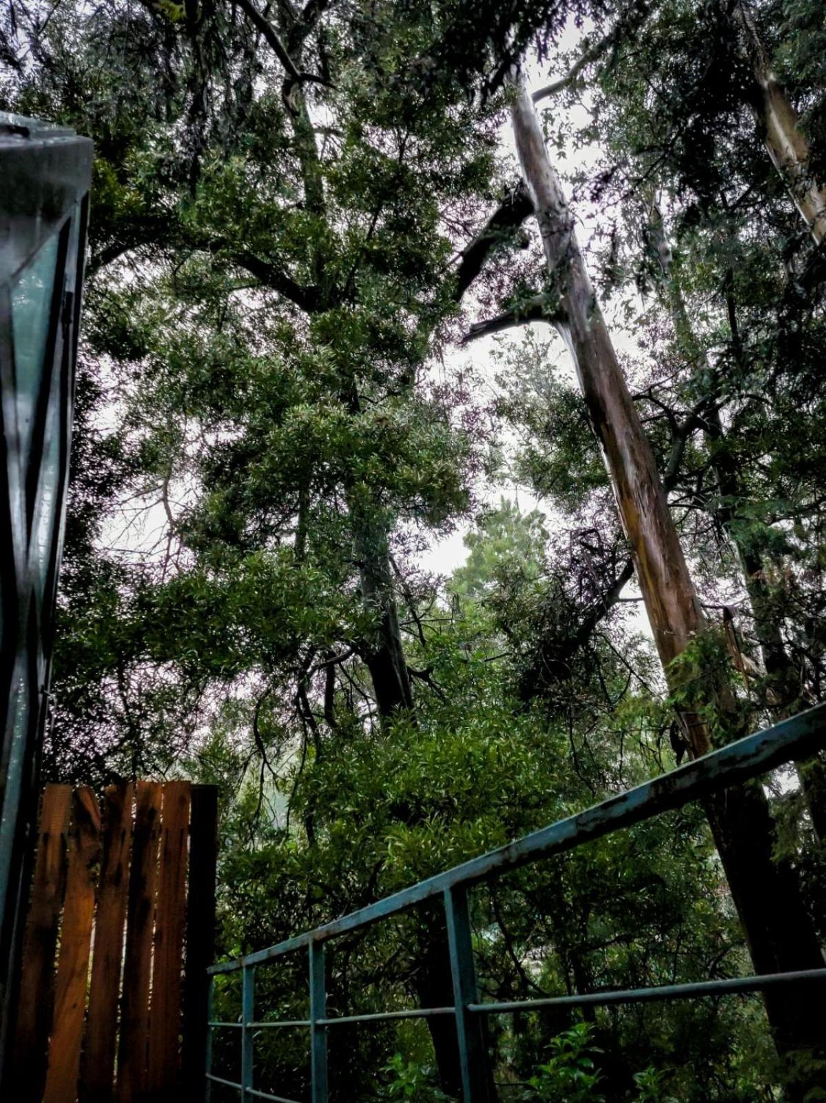 Woodhouse Hotel Ooty Exterior photo